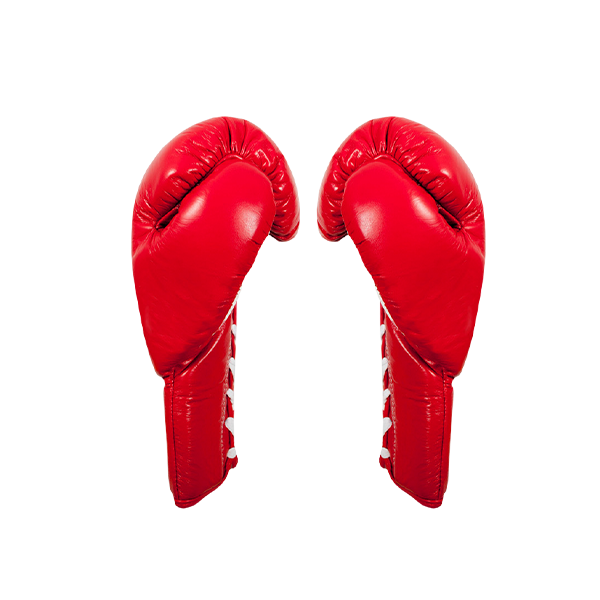 Cleto Reyes Professional Boxing Gloves classic red