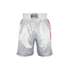 Cleto Reyes Boxing Trunks - Mexican Flag