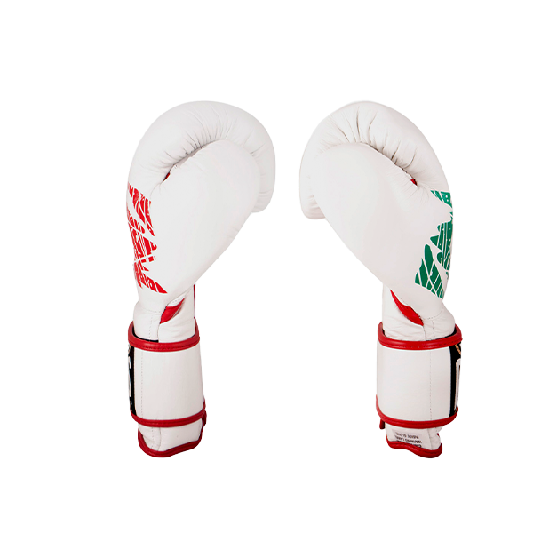 Cleto Reyes Hook and Loop Boxing Gloves Mexican Flag