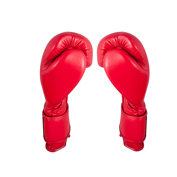 Cleto Reyes Hook and Loop Boxing Gloves classic red