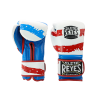 Cleto Reyes Hook and Loop Gloves USA Flag