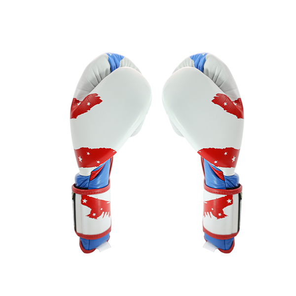 Cleto Reyes Hook and Loop Boxing Gloves USA Flag