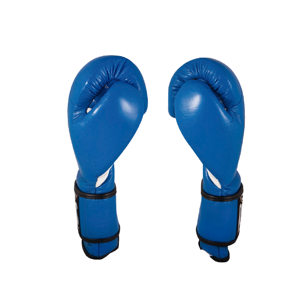 Cleto Reyes Hook and Loop Boxing Gloves Electric Blue
