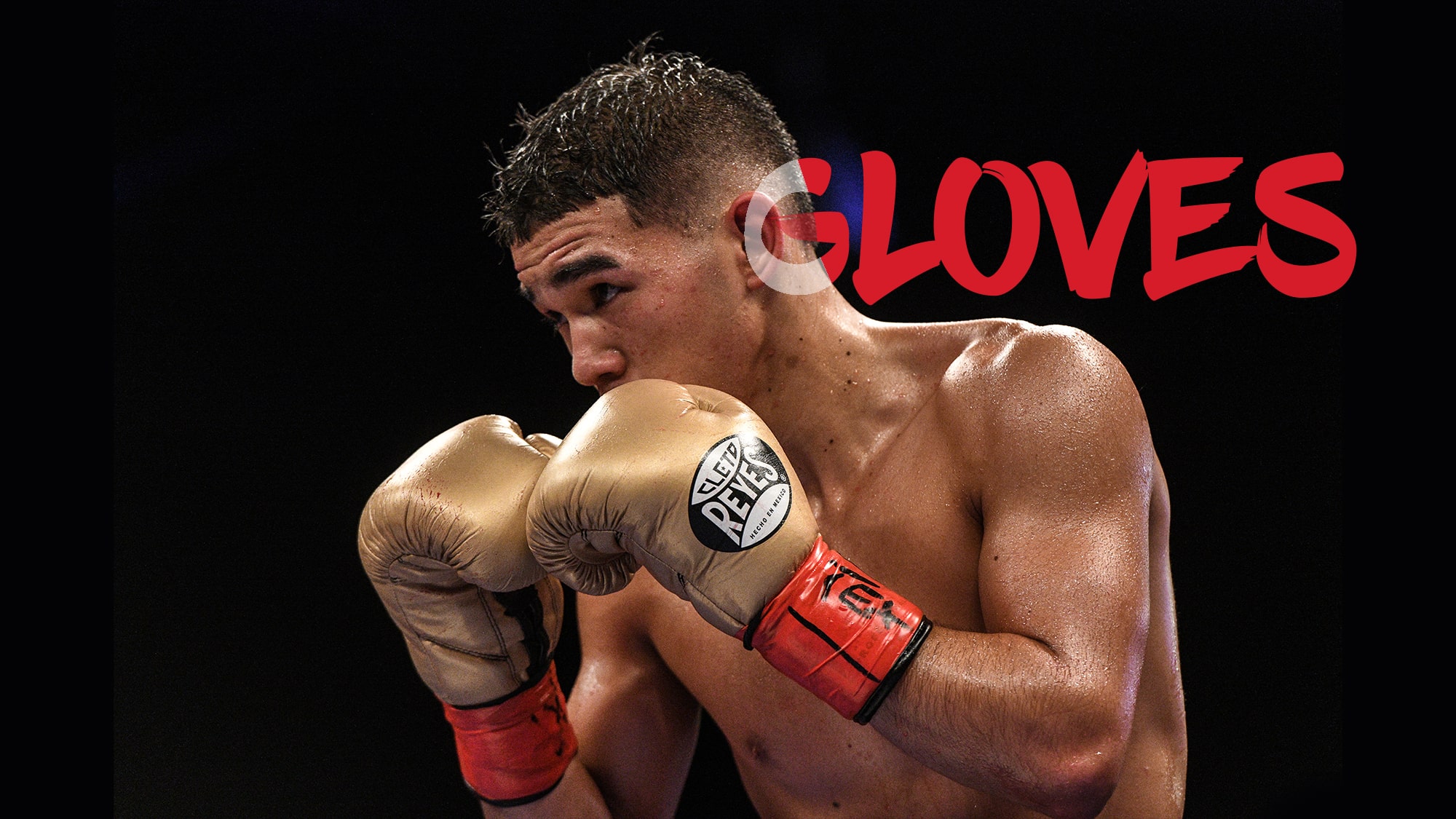 Cleto Reyes Boxing Gloves