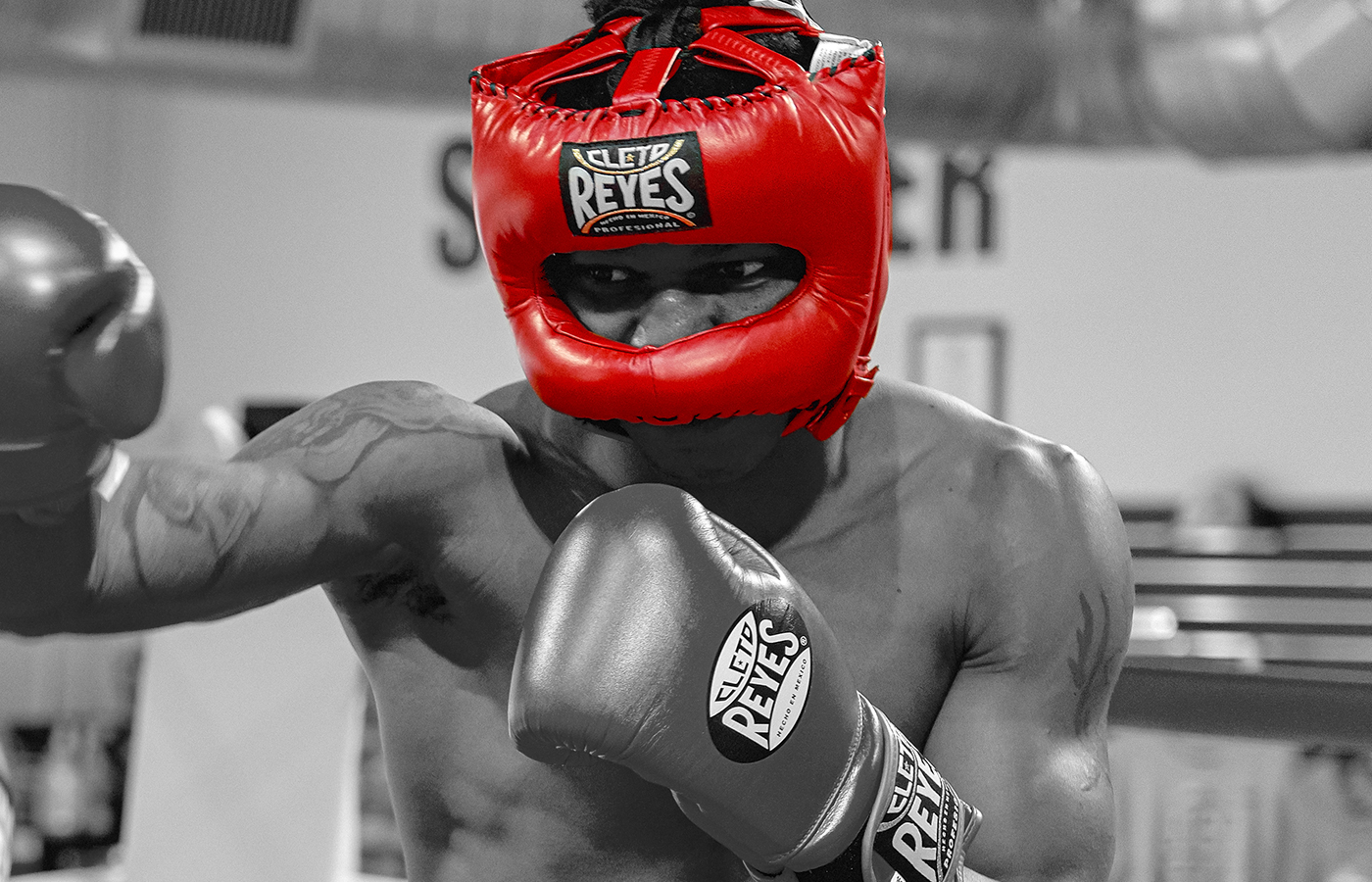 Cleto Reyes Protective Gear