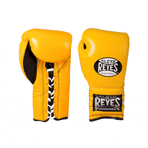 Traditional Training Gloves