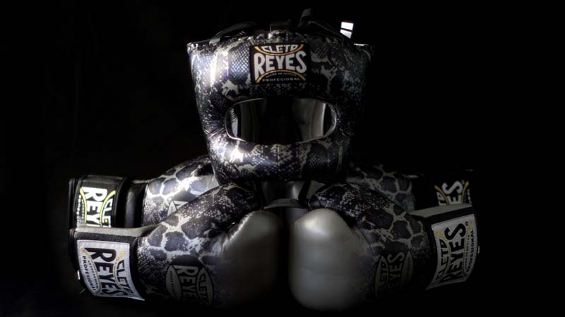 New Steel Snake Collection. The best professional boxing gloves, Built for Legends