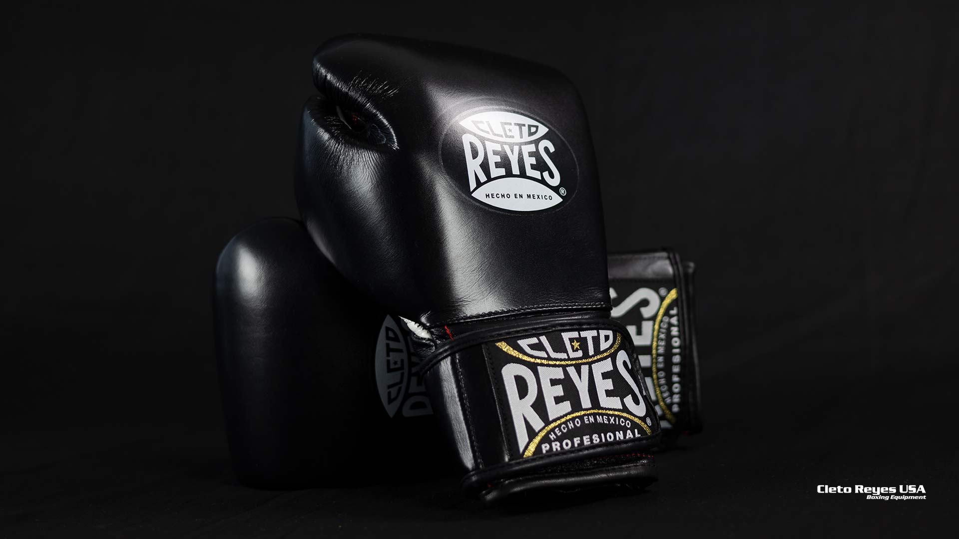 New Limited Edition Boxing Gloves