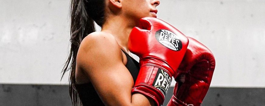 Cleto Reyes Training Boxing Gloves Hook and Loop Closure WBC