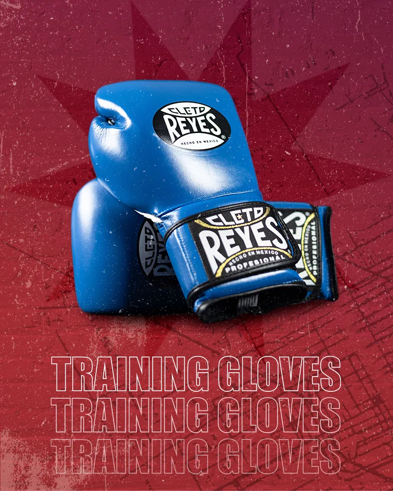 Cleto Reyes Training Gloves