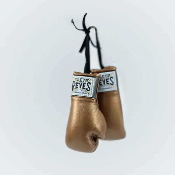 Mini-Gloves - Cooper | Cleto Reyes Boxing