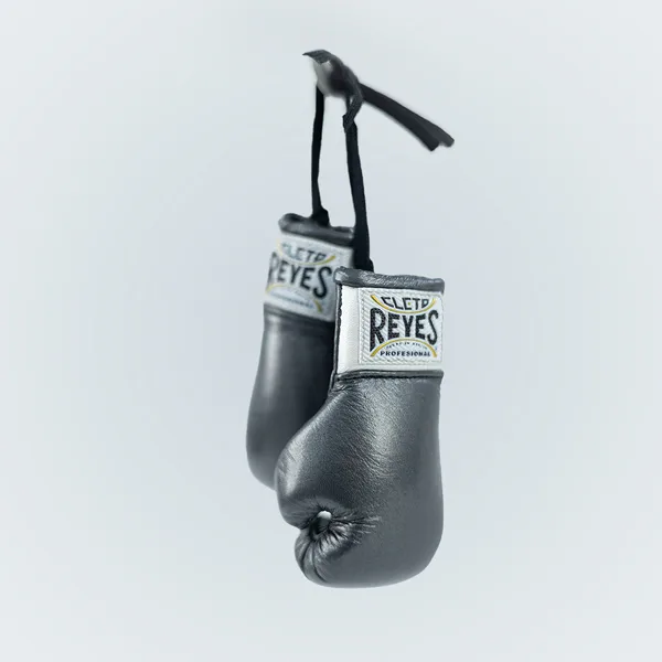 Mini-Gloves - Oxford Gray | Cleto Reyes Boxing