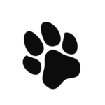 Footprint